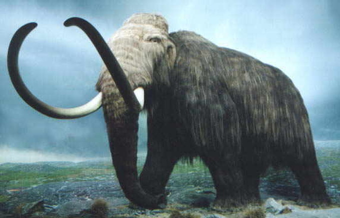 mamutlar